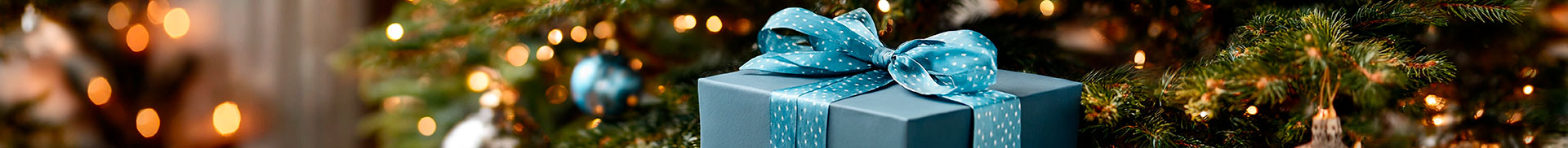 Cadeau devant un sapin de Noël